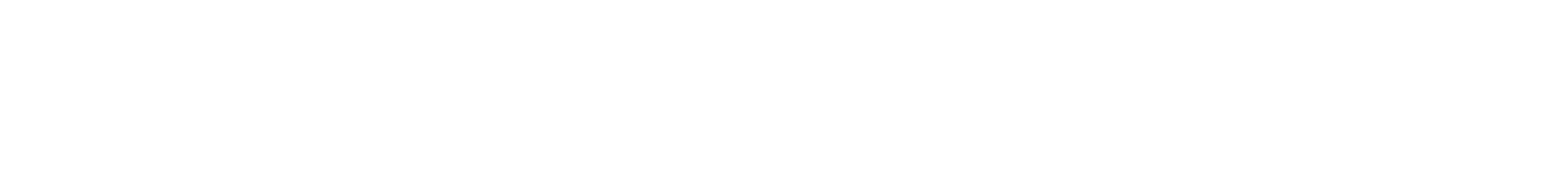 forzamax-logo-white